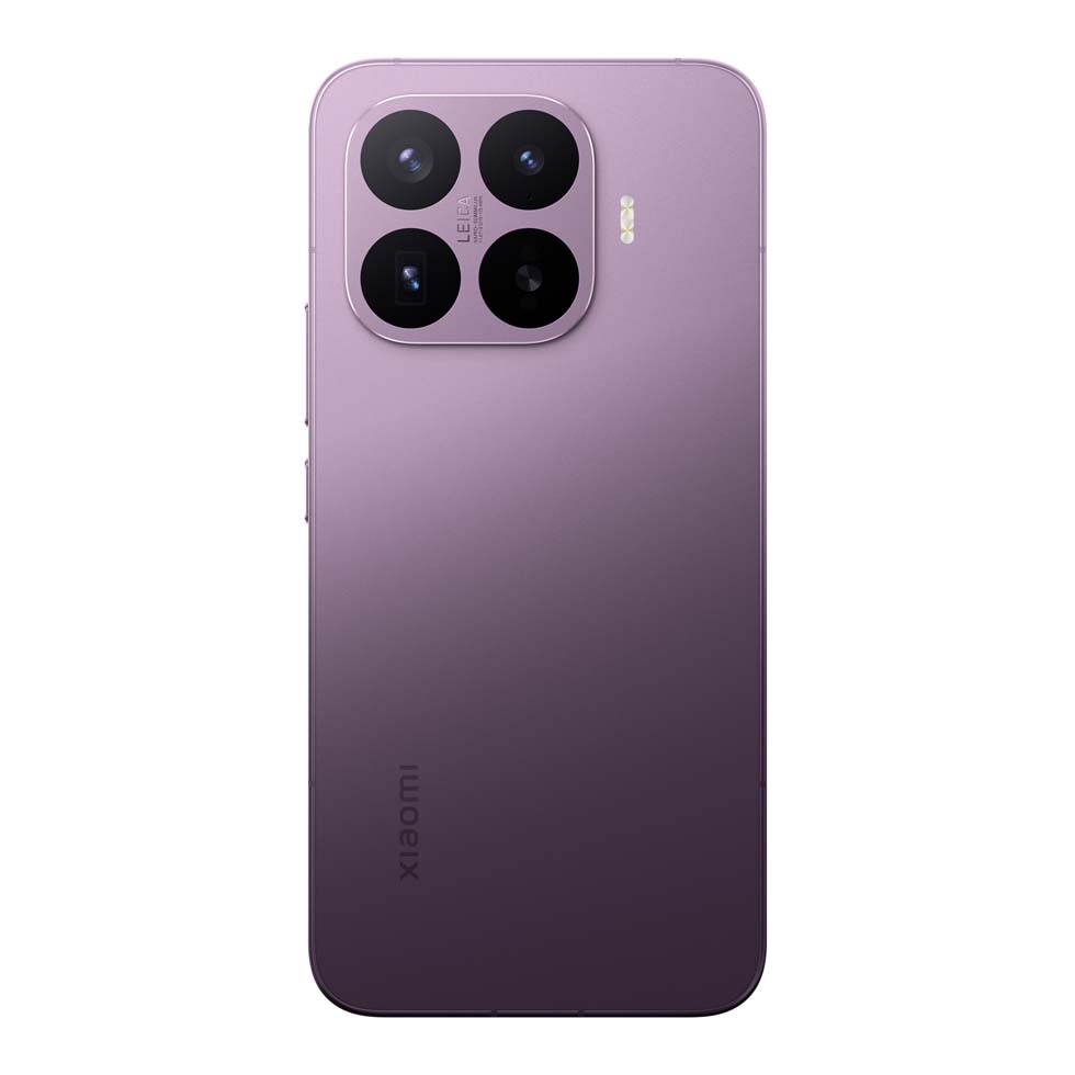 MORADO 2