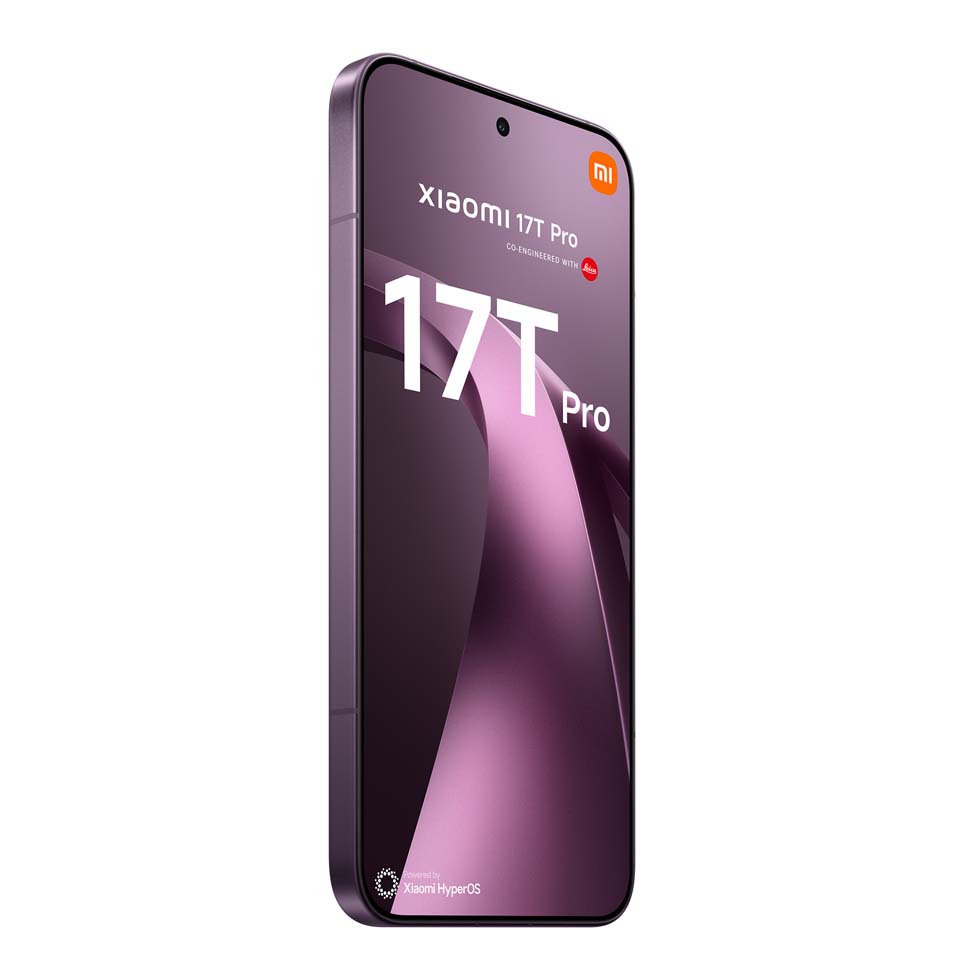 MORADO 3